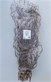 Корилус-Corylus-Av Contorta-100cm 0e02f248-7850-11ed-0a80-073a0025de53