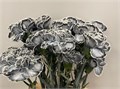 Гвоздика ст-Dianthus st-Grey--60cm 0e9e421c-bfa4-11ec-0a80-0b4c0006967f